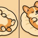 Test IQ: găsiți 3 diferențe într-o imagine cu un câine